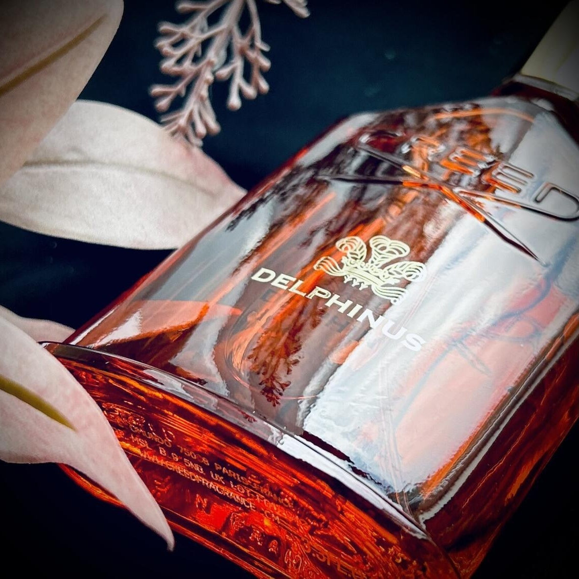 Delphinus by Creed – Floral Oriental Unisex Eau de Parfum 100ML
